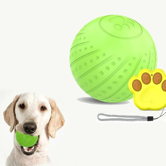 Wicked Ball-Smart Rolling Ball Pet Toy